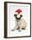 Fawn Pug Puppy, 8 Weeks, Wearing a Father Christmas Hat-Mark Taylor-Framed Photographic Print