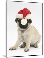Fawn Pug Puppy, 8 Weeks, Wearing a Father Christmas Hat-Mark Taylor-Mounted Photographic Print