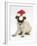 Fawn Pug Puppy, 8 Weeks, Wearing a Father Christmas Hat-Mark Taylor-Framed Photographic Print