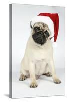 Fawn Pug Wearing Christmas Hat-null-Stretched Canvas