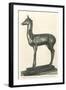 Fawn Sculpture from Herculaneum-null-Framed Art Print