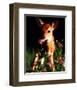 Fawn-null-Framed Art Print