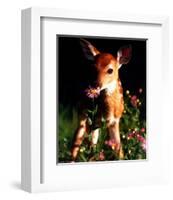 Fawn-null-Framed Art Print