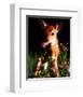 Fawn-null-Framed Art Print