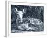 Fawn-Gordon Semmens-Framed Photographic Print