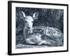 Fawn-Gordon Semmens-Framed Photographic Print