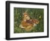 Fawn-William Vanderdasson-Framed Premium Giclee Print