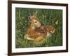 Fawn-William Vanderdasson-Framed Premium Giclee Print