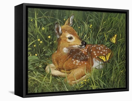 Fawn-William Vanderdasson-Framed Stretched Canvas