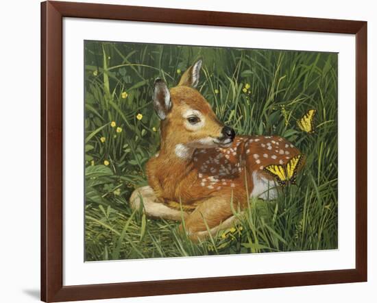 Fawn-William Vanderdasson-Framed Giclee Print