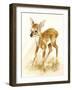 Fawn-Peggy Harris-Framed Giclee Print