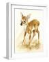 Fawn-Peggy Harris-Framed Giclee Print