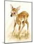 Fawn-Peggy Harris-Mounted Giclee Print