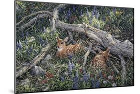Fawns and Flowers-Jeff Tift-Mounted Giclee Print