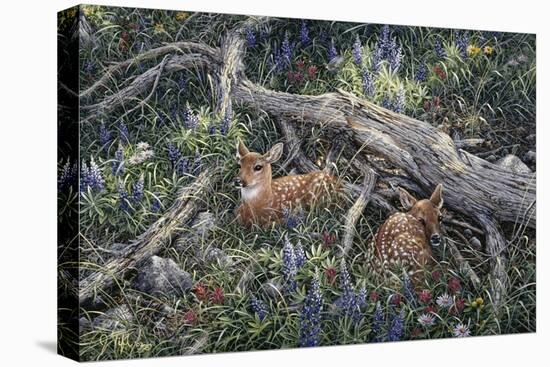 Fawns and Flowers-Jeff Tift-Stretched Canvas