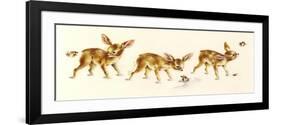 Fawns-Peggy Harris-Framed Giclee Print