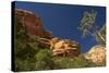 Fay Canyon, Red Rock, Coconino National Forest, Sedona, Arizona, USA-Michel Hersen-Stretched Canvas