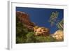 Fay Canyon, Red Rock, Coconino National Forest, Sedona, Arizona, USA-Michel Hersen-Framed Photographic Print