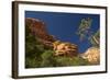 Fay Canyon, Red Rock, Coconino National Forest, Sedona, Arizona, USA-Michel Hersen-Framed Photographic Print