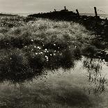 Waves Breaking On Shore-Fay Godwin-Giclee Print