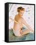 Fay Spain-null-Framed Stretched Canvas