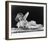 Fay Wray-null-Framed Photo