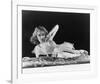 Fay Wray-null-Framed Photo