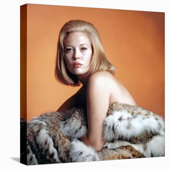 Faye Dunaway-null-Stretched Canvas