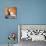 Faye Dunaway-null-Mounted Photo displayed on a wall