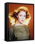 Faye Grant-null-Framed Stretched Canvas