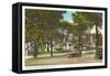 Fayette Park, Syracuse, New York-null-Framed Stretched Canvas