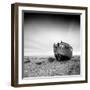 FE188-Craig Roberts-Framed Photographic Print