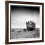 FE188-Craig Roberts-Framed Photographic Print