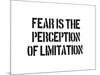 Fear And Limitation-SM Design-Mounted Art Print