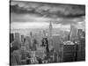 Fearless Passion-Thomas Barbey-Stretched Canvas