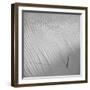 Fearless-Philippe Sainte-Laudy-Framed Photographic Print