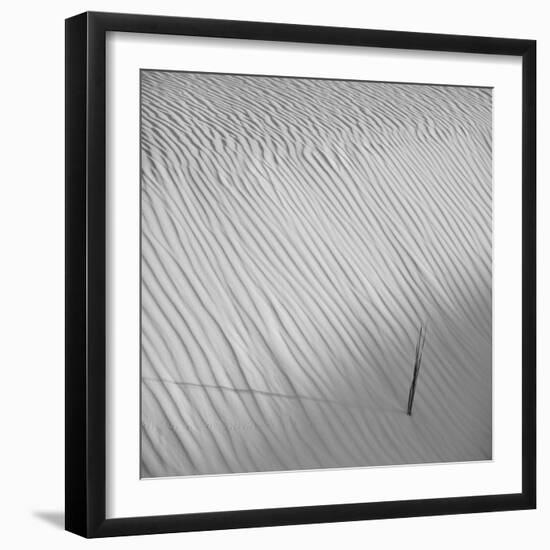 Fearless-Philippe Sainte-Laudy-Framed Photographic Print
