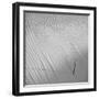 Fearless-Philippe Sainte-Laudy-Framed Photographic Print