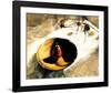 Feast of Fires-Deborah Roundtree-Framed Art Print