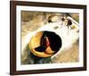 Feast of Fires-Deborah Roundtree-Framed Art Print