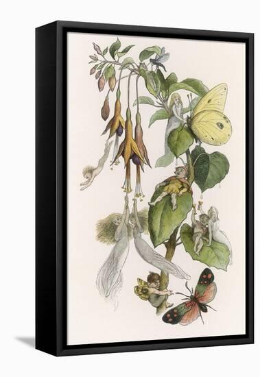 Feasting and Fun Among the Fuchsias, Fairies and Elves are Visited by Butterflies-Richard Doyle-Framed Stretched Canvas