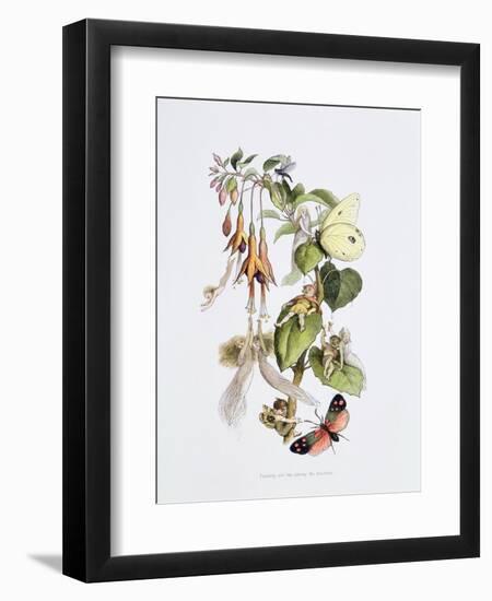 Feasting and Fun Among the Fuschias-Richard Doyle-Framed Giclee Print