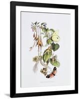 Feasting and Fun Among the Fuschias-Richard Doyle-Framed Giclee Print