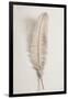 Feather_002-1x Studio III-Framed Photographic Print