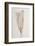 Feather_002-1x Studio III-Framed Photographic Print