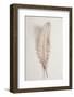 Feather_002-1x Studio III-Framed Photographic Print