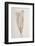 Feather_002-1x Studio III-Framed Photographic Print