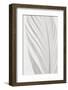 Feather_006-1x Studio III-Framed Photographic Print