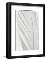 Feather_006-1x Studio III-Framed Photographic Print