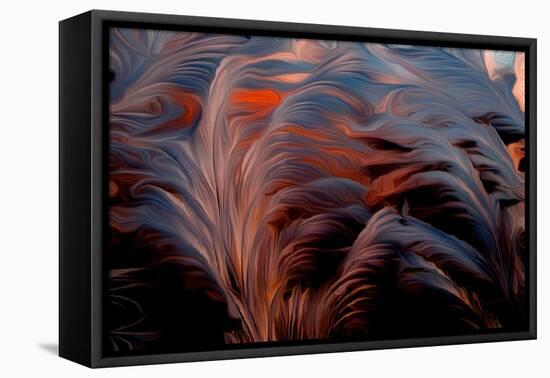 Feather, 2021, (digital)-Scott J. Davis-Framed Stretched Canvas